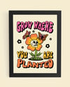 Grow Where You Are Planted 8X10 Print