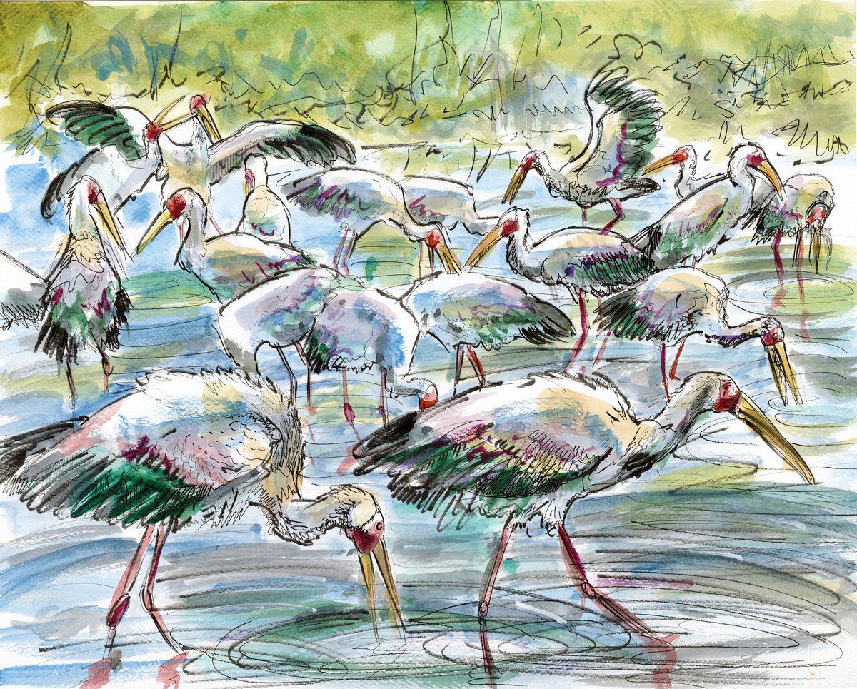 Feeding stalks - Framed Watercolour original | Shelly Perkins Wildlife Art