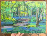 Image 1 of Bluebell woods 2 - plein air study