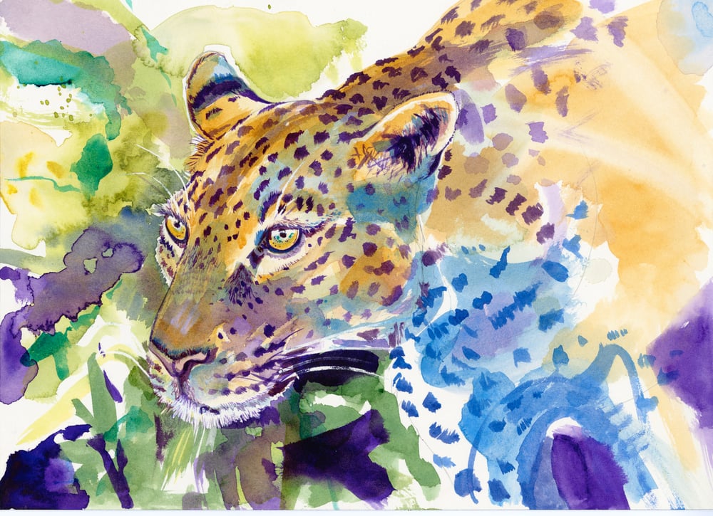 Image of Leopardess - Original Watercolour painting