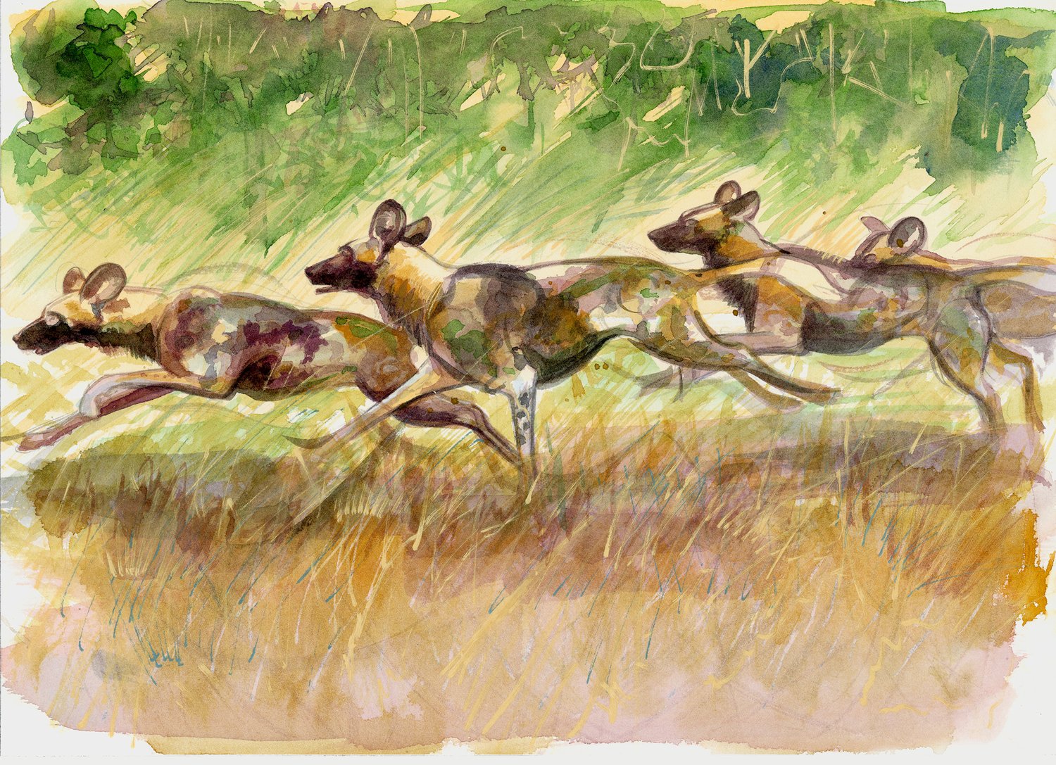 Image of The pack 2 - Original watercolour and mixed media painting