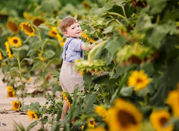 Image of Sunflower Benefit