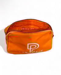 Image 3 of Orange Cross Body