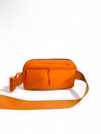 Image 2 of Orange Cross Body