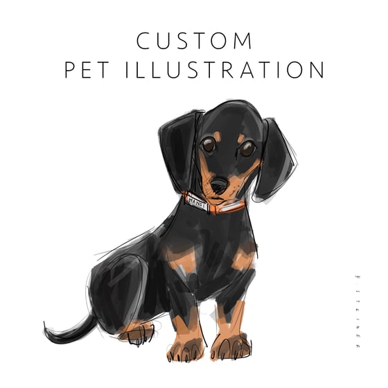 Image of Custom Pet Illustration
