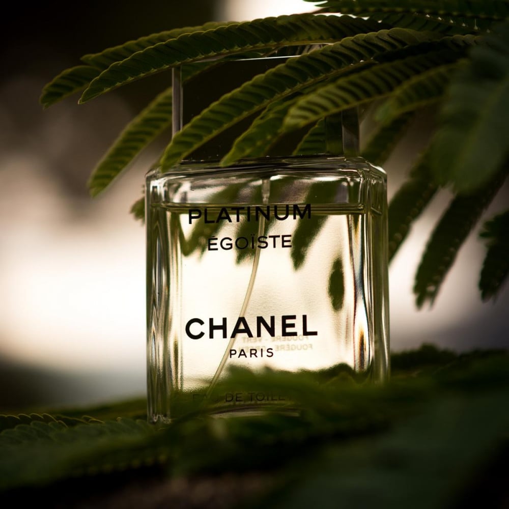 Image of CHANEL EGOISTE PLATINUM (TYPE)