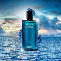 DAVIDOFF COOL WATER (TYPE)