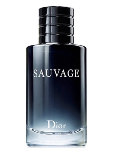 Image of DIOR SAUVAGE (TYPE)