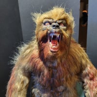 Image 1 of Werewolf gray skin