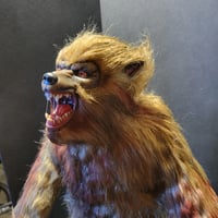 Image 3 of Werewolf gray skin