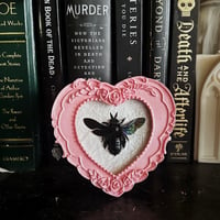 Xylocopa latipes Carpenter Bee - Pink Heart Frame