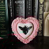 Xylocopa latipes Carpenter Bee - Pink Heart Frame