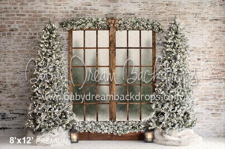 Image of Christmas Mini 2023 White and Brown backdrop