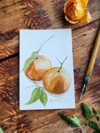 Image 1 of Oranges -Watercolor Painting 