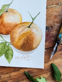 Image 2 of Oranges -Watercolor Painting 