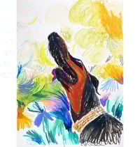 Image of Dog in the Park