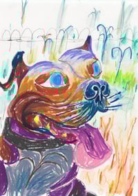 Image of Dog in the Garden