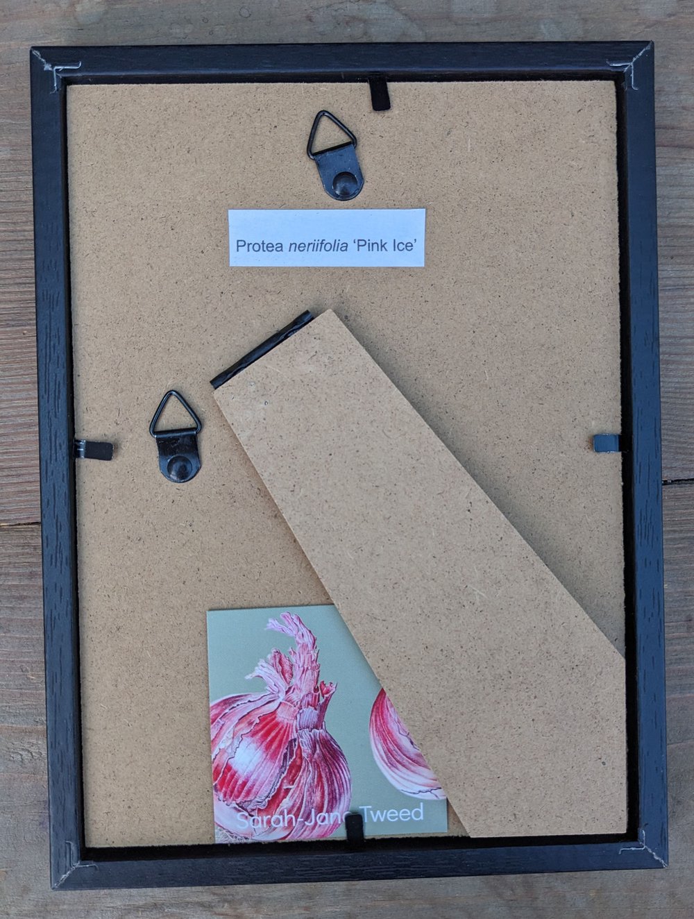 Image of Framed A5 Protea Giclée Print