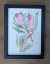 Framed A5 Protea Giclée Print