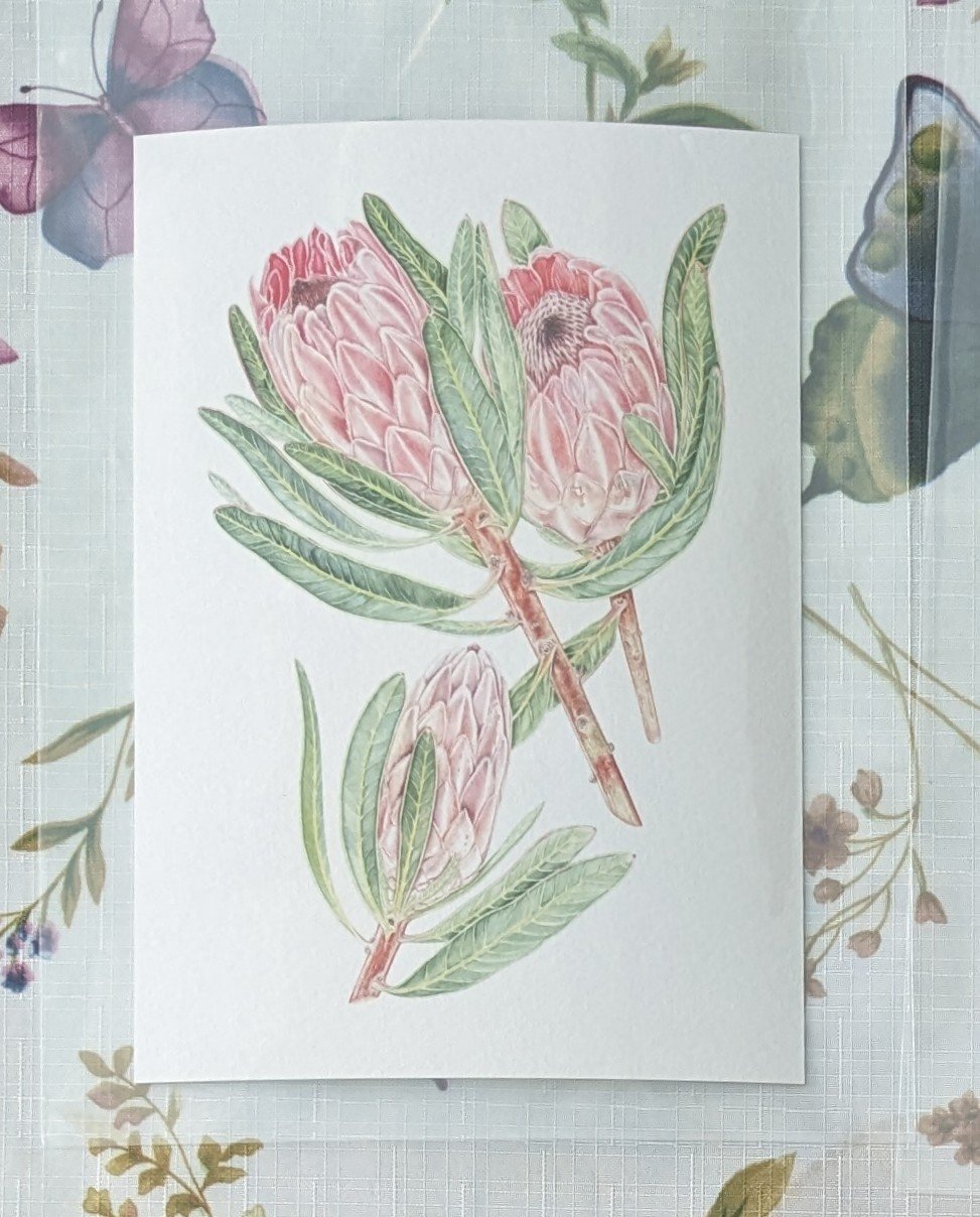 Image of Framed A5 Protea Giclée Print