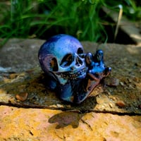 Image 2 of Skull Snail