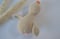 Image of Sonajero pato beige