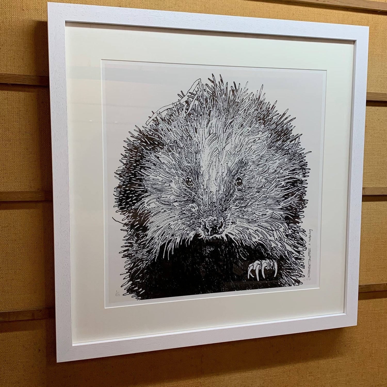 Image of A Hedgehog, 2022/23