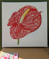 Anthurium Canvas