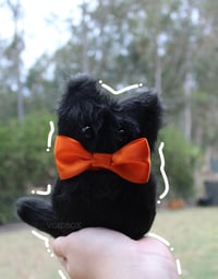 Image 3 of Handheld Spooky Cat Plush - Halloween 2023