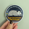 Don't Disappoint Magnet 