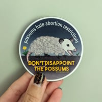 Image 1 of Don't Disappoint Magnet 