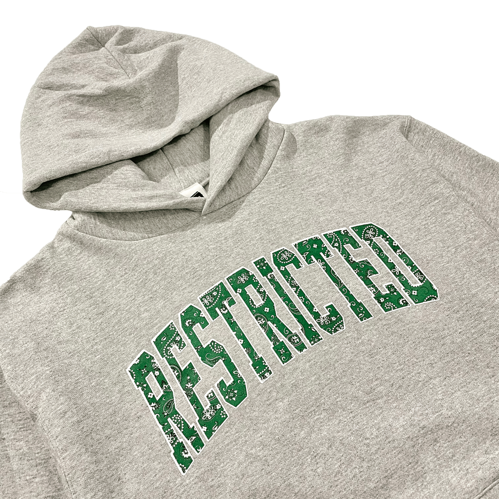 "College" Hooded Sweatshirt (Grey)