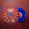 ACIDSITTER "MAKE ACID GREAT AGAIN" #ISR VINYL EDITION