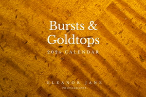 Bursts & Goldtops 2024 calendar