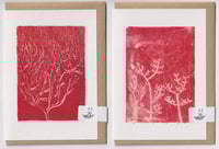 Image 2 of Pack of 4 red cards. 100% recycled.