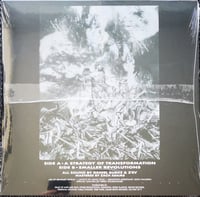 Image 2 of Illusion Of Safety & Z'EV – Illusion Of Safety & Z'ev 12"