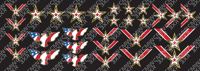 Kurt Angle 2005 Medal Decals (3XR)