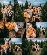 Image 1 of 11/9 Christmas Tree Farm Mini Sessions