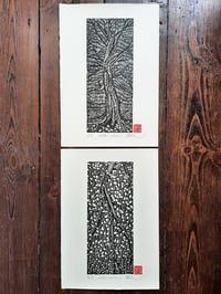 Image 5 of AUTUMN LEAVES 1