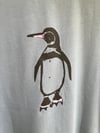 Galapagos Penguin T-Shirt