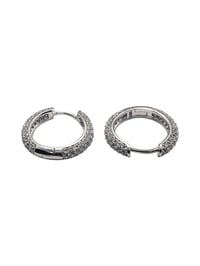 Image 1 of Dazzle Mini Hoop