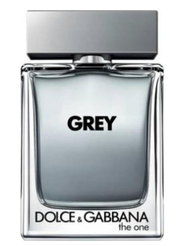 Image of DOLCE & GABBANA GREY THE ONE(TYPE)