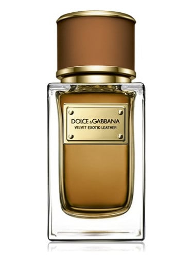 Image of DOLCE & GABBANA VELVET EXOTIC LEATHER (TYPE)