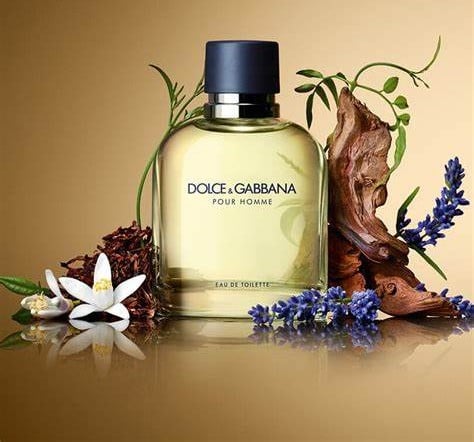 Image of DOLCE & GABBANA POUR HOMME (TYPE)