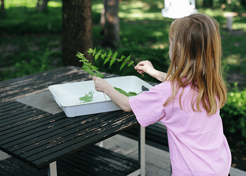 Image of Summer Camp 2024- July 15-19 - Art and Nature Camp in Mountain Lake Park 