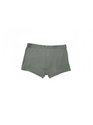Image of Refined underwear (Sage Green)