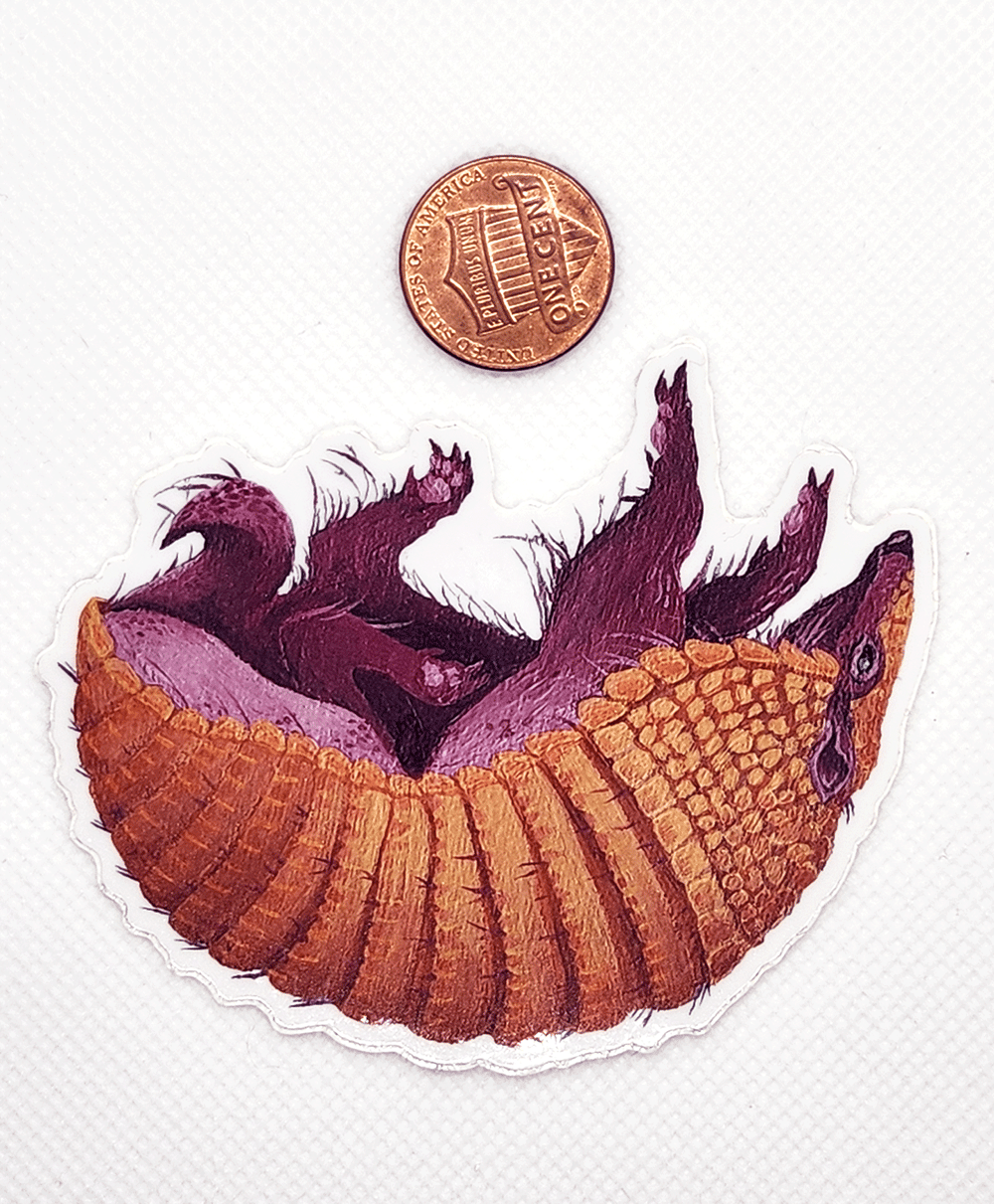 Image of Armadillo Sticker