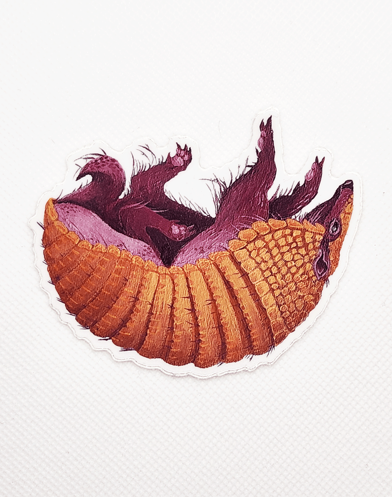 Image of Armadillo Sticker