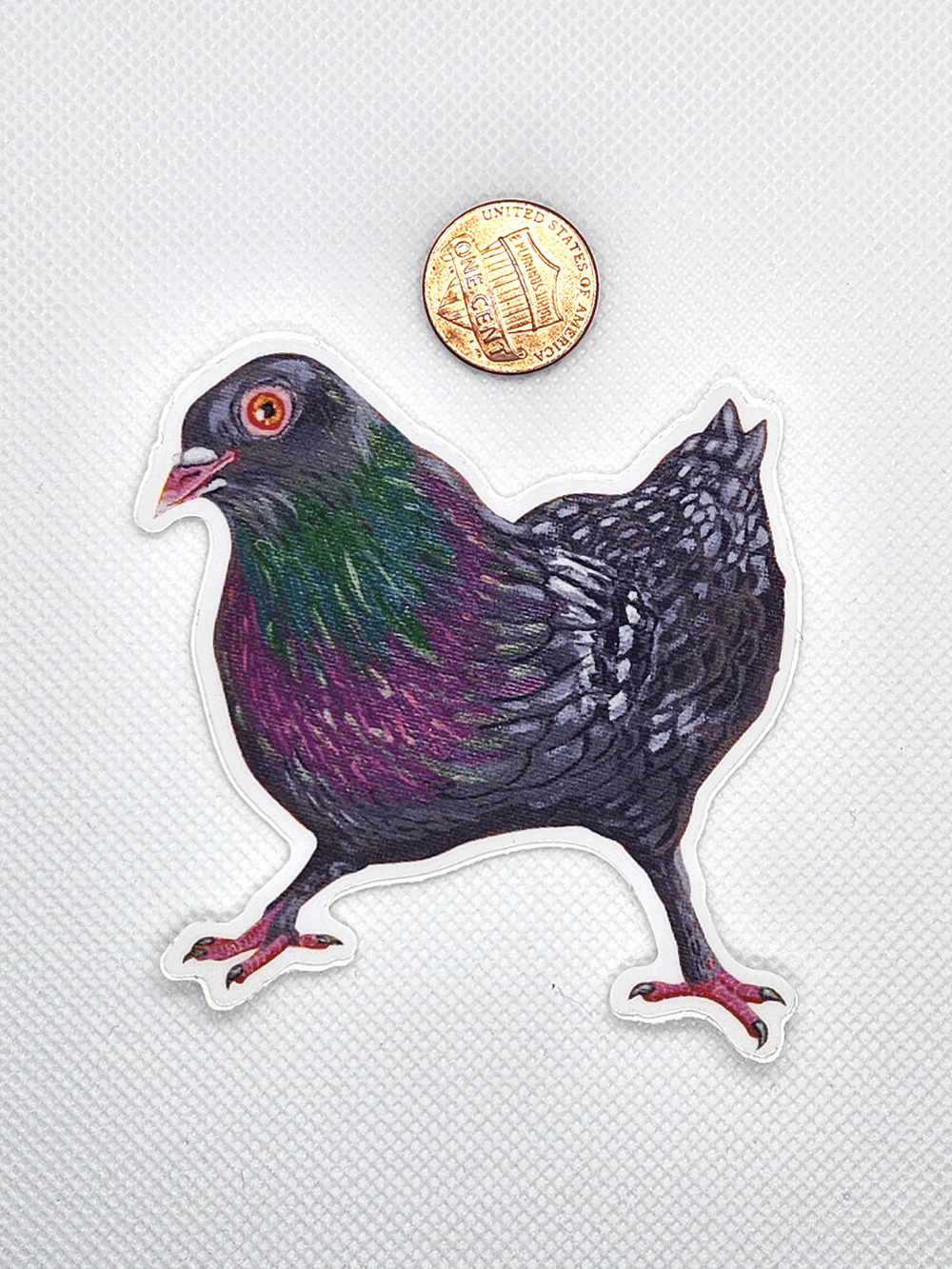 Image of Stance Pigeon Sticker