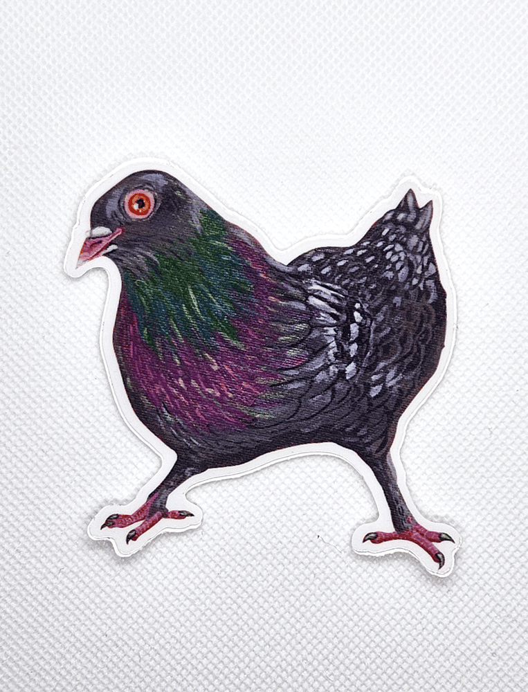 Image of Stance Pigeon Sticker